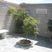 Tracy Graves Photo 10