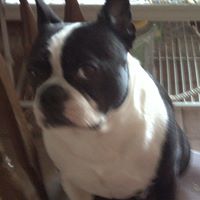 Mary Deloach Photo 29