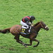 Marc Diamant Photo 4
