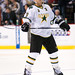 Stephane Robidas Photo 5
