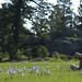 Lorrie Fox Photo 7