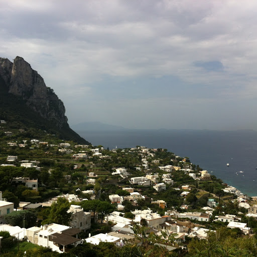 Charles Stone Photo 27