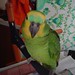 Jose Louro Photo 7