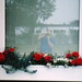 Brian Waddell Photo 12