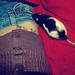 Jean Templeton Photo 2
