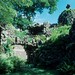 Rudolph Philip Photo 7