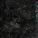 Denise Hole Photo 6