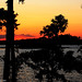 Paul Lanier Photo 7