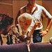 Robert Chappell Photo 8