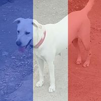 Jr Paris Photo 11