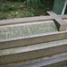 Richard Graver Photo 9