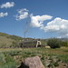 Connie Foley Photo 11