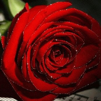 Ajeet Sinha Photo 14