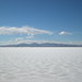 Sal Bianco Photo 6