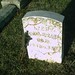 Samuel Carr Photo 16