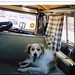 John Ivers Photo 8