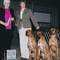 Teri Olson Photo 24