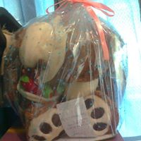 Lisa Vercelli Photo 3