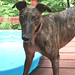 Lacey Harper Photo 5