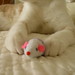 John Chai Photo 8
