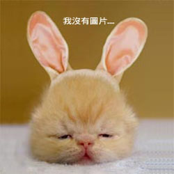 Kunyu Chen Photo 2