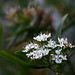 Lance Hinds Photo 8