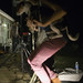 William Holler Photo 13