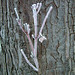 James Hoar Photo 2