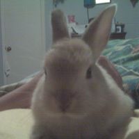 Holly Quick Photo 28