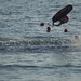 Taylor Neilson Photo 6