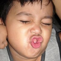 Harry Jay Photo 13