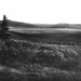 Albert Barnes Photo 11