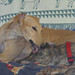 Charlie Woody Photo 8