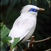Edward Hong Photo 14