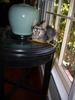 Shirley Guo Photo 2