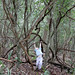 Michelle Trask Photo 8