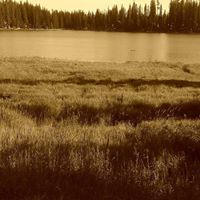 Elizabeth Huskey Photo 4