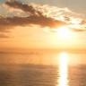 Peter Goodman Photo 29