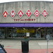 Diane Amato Photo 9