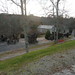 Carolina Mills Photo 8