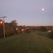 Peggy Kirkpatrick Photo 8