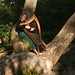 Victoria Harp Photo 6