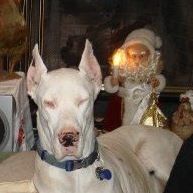 Ann Samson Photo 27