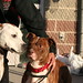 Curtis Foster Photo 10