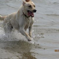 Tom Runyan Photo 16