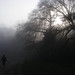Misty Fritz Photo 9