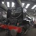 Peter Apple Photo 6