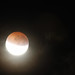 Asuncion Luna Photo 7