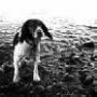 Sheila Farley Photo 18