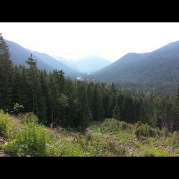 Tammy Hanson Photo 28